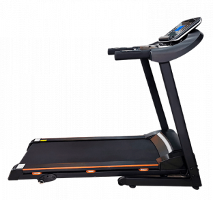Беговая дорожка Royal Fitness RF-6