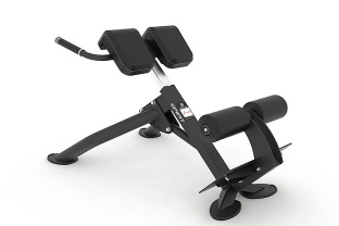 Гиперэкстензия под углом 45 градусов Spirit SP-4220