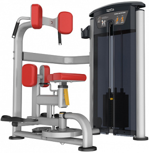 Вращение торса AeroFit IT9518