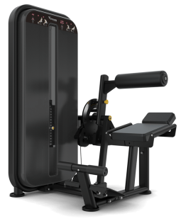 Скручивание/Разгибание спины Vision VST600-S531