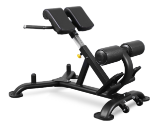 Гиперэкстензия BRONZE GYM BR-1010