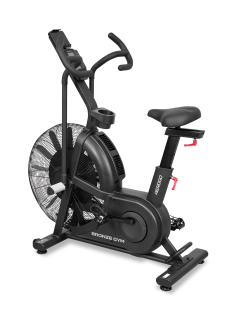 Аэробайк BRONZE GYM AeroGo