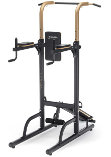 Турник 3 в 1 со скамьей OXYGEN FITNESS LOGAN