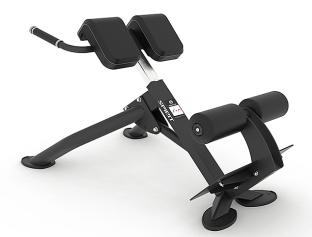 Гиперэкстензия под углом 45 градусов Spirit SP-4220